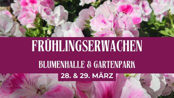 Fr&uuml;hlingserwachen 2026.jpg