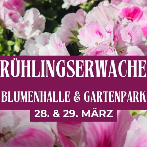 Fr&uuml;hlingserwachen 2026.jpg