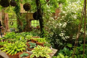 Bild für offener Garten Moorjuwel Weerts.JPG